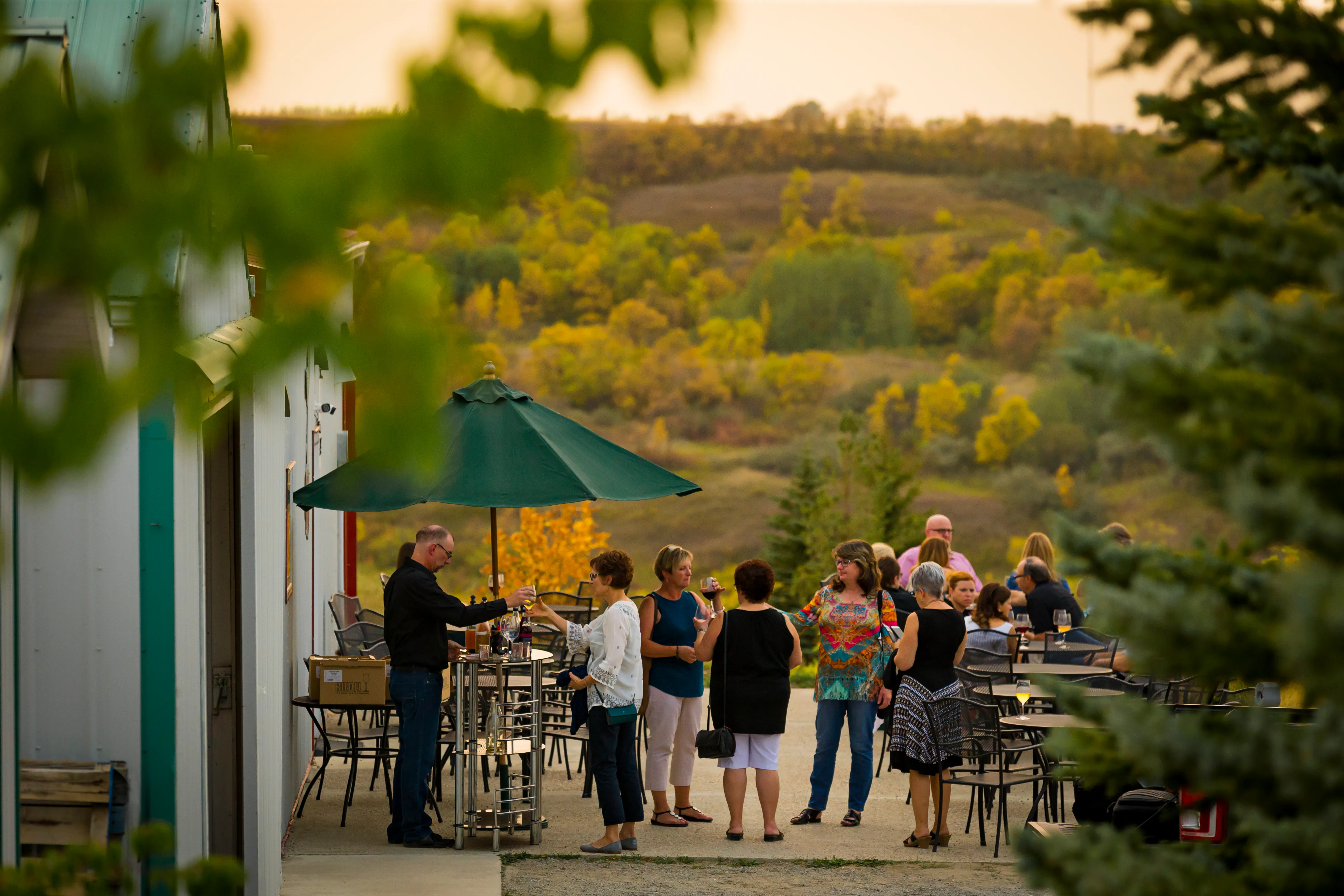 Les vergers et vignoble Over the Hill